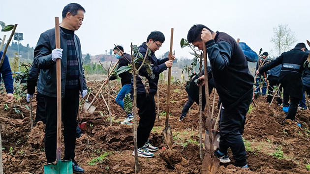 濟南市八一立交橋工程